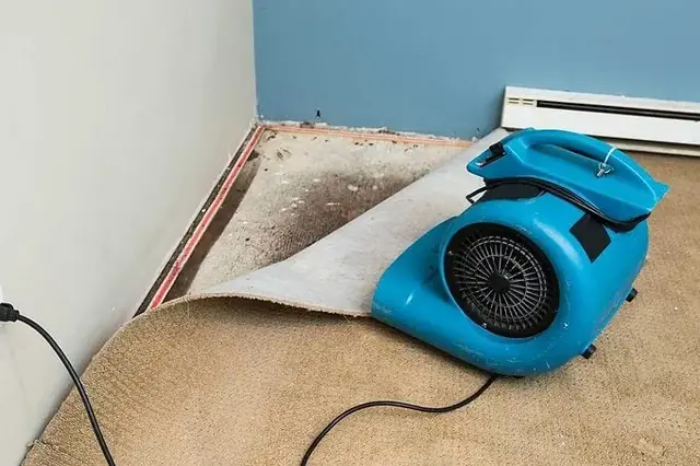Carpet lifted and an air mover drying a room after water damage in Columbia, MD